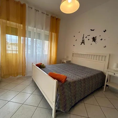 Tulipano Minturno